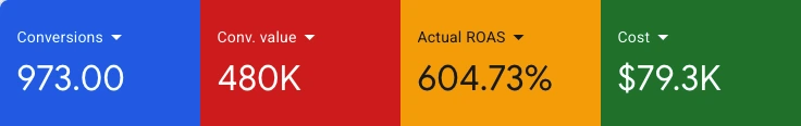 Account Performance Snapshot: 973 conversions and $480K conversion value at 604.73% ROAS on $79.3K spend
